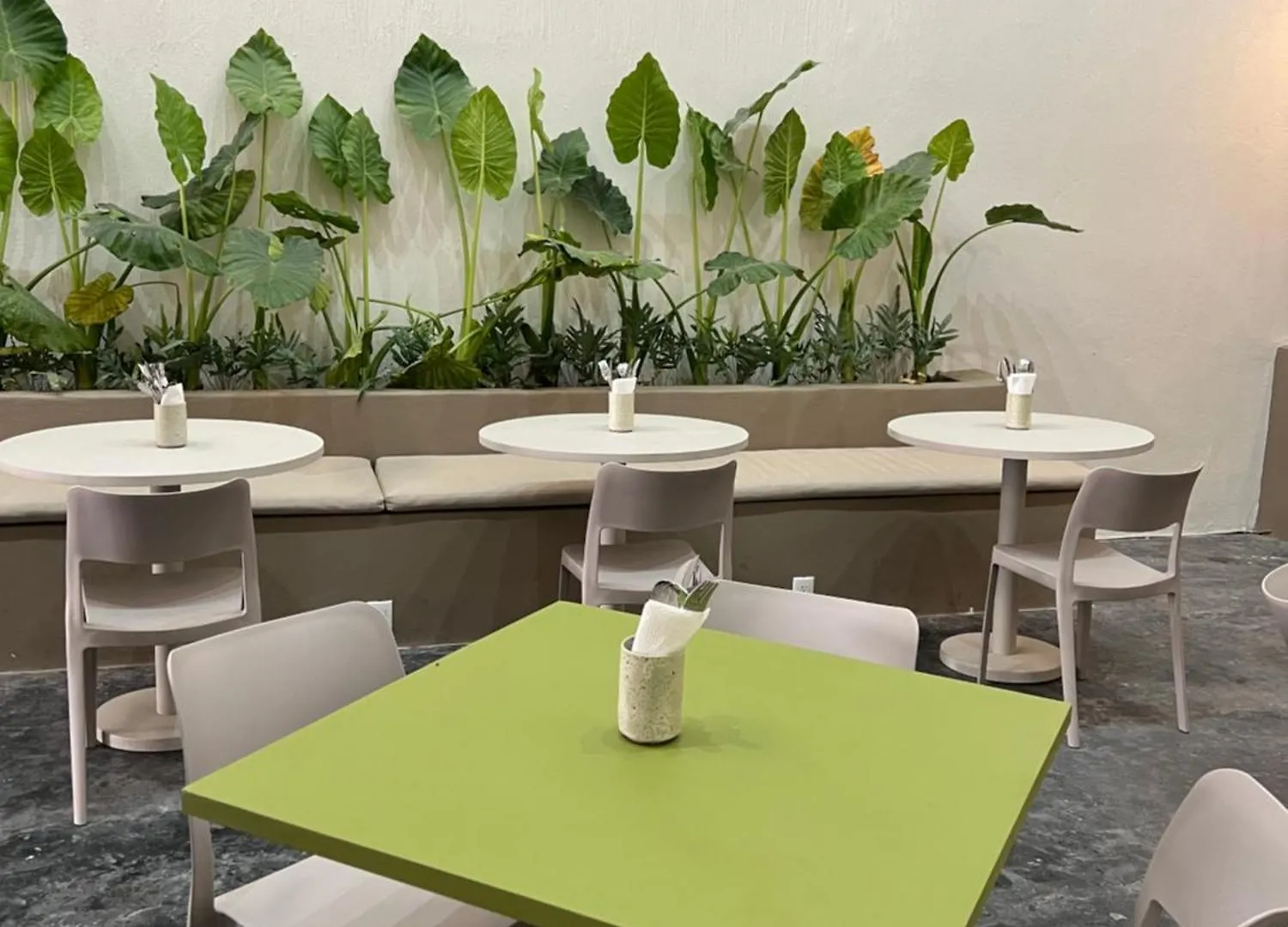 ***  Aura Hotel Boutique 特拉克帕克 墨西哥